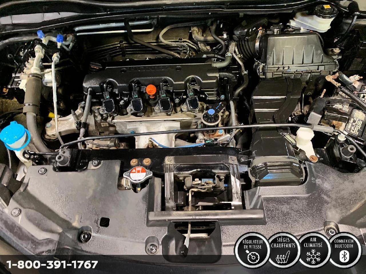 2023 Nissan Rogue S Image principale