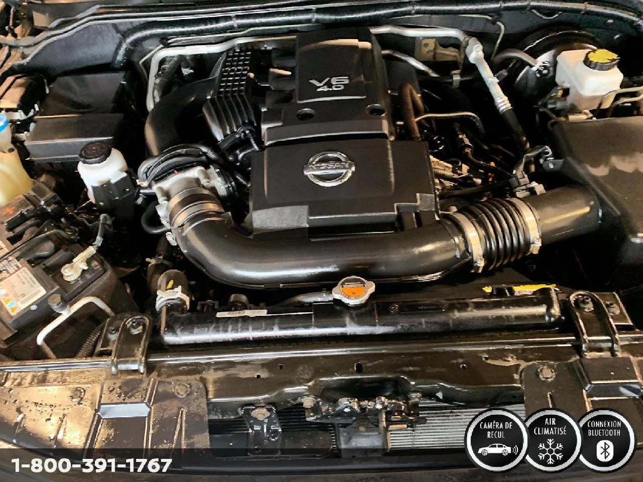 2023 Nissan Pathfinder SL Main Image