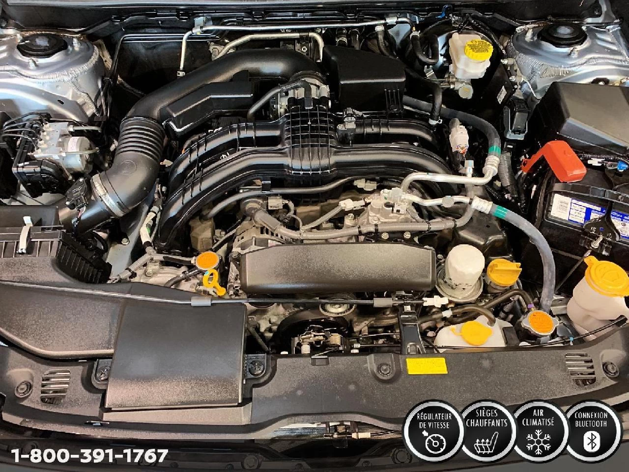 2023 Nissan Altima SR Main Image