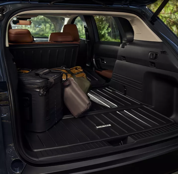 Valise d'un véhicule Mazda